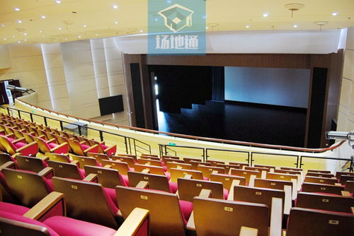 上海運動會 培訓、考試與文化演出的多元融合