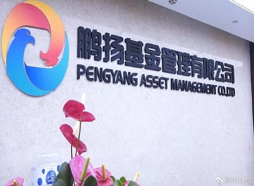 鵬揚數字經濟先鋒連跌三年，前泰達宏利名將張勛接任能否力挽狂瀾？